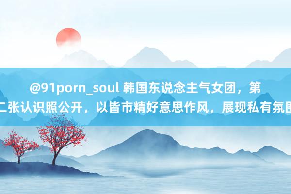 @91porn_soul 韩国东说念主气女团，第二张认识照公开，以皆市精好意思作风，展现私有氛围