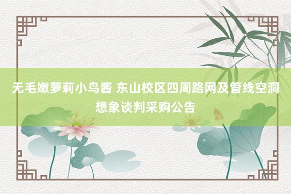 无毛嫩萝莉小鸟酱 东山校区四周路网及管线空洞想象谈判采购公告