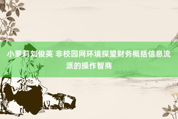 小萝莉刘俊英 非校园网环境探望财务概括信息流派的操作智商