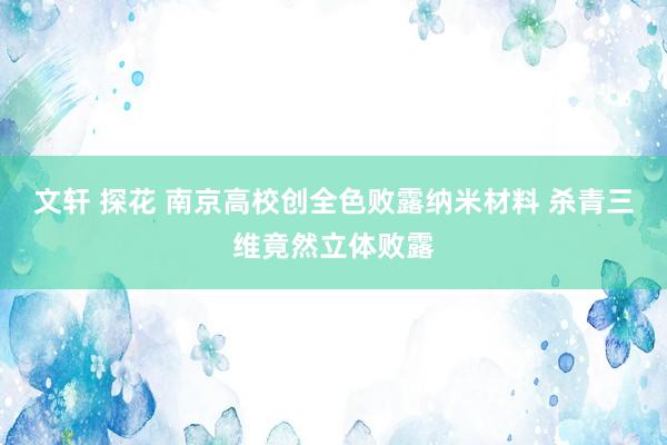 文轩 探花 南京高校创全色败露纳米材料 杀青三维竟然立体败露