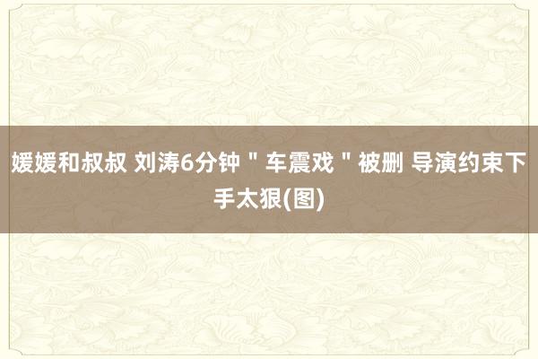 媛媛和叔叔 刘涛6分钟＂车震戏＂被删 导演约束下手太狠(图)