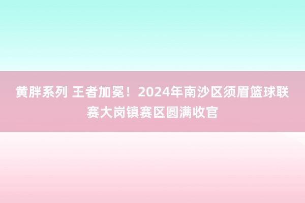 黄胖系列 王者加冕！2024年南沙区须眉篮球联赛大岗镇赛区圆满收官