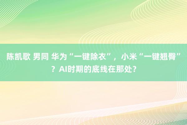 陈凯歌 男同 华为“一键除衣”，小米“一键翘臀”？AI时期的底线在那处？