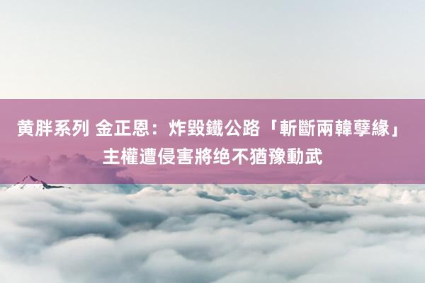 黄胖系列 金正恩：炸毀鐵公路「斬斷兩韓孽緣」　主權遭侵害將绝不猶豫動武