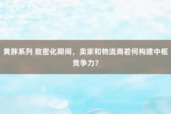 黄胖系列 致密化期间，卖家和物流商若何构建中枢竞争力？