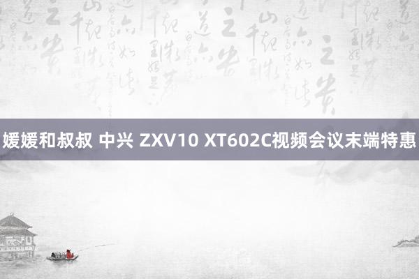 媛媛和叔叔 中兴 ZXV10 XT602C视频会议末端特惠