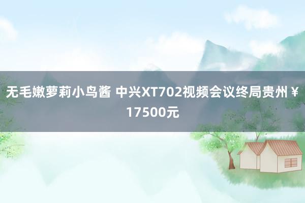 无毛嫩萝莉小鸟酱 中兴XT702视频会议终局贵州￥17500元