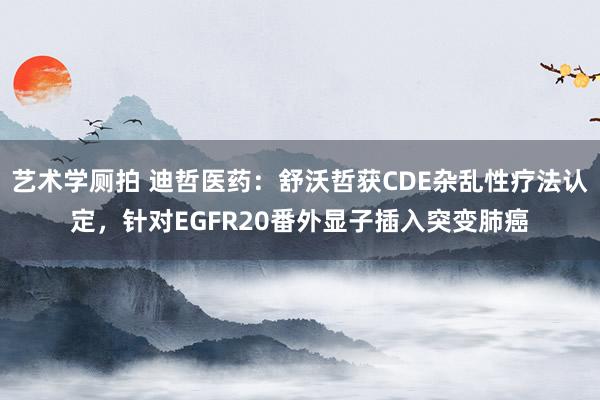 艺术学厕拍 迪哲医药：舒沃哲获CDE杂乱性疗法认定，针对EGFR20番外显子插入突变肺癌