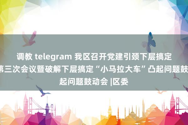 调教 telegram 我区召开党建引颈下层搞定合营机制第三次会议暨破解下层搞定“小马拉大车”凸起问题鼓动会 |区委