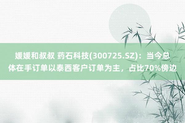 媛媛和叔叔 药石科技(300725.SZ)：当今总体在手订单以泰西客户订单为主，占比70%傍边