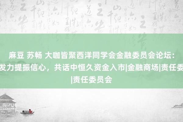 麻豆 苏畅 大咖皆聚西洋同学会金融委员会论坛：政策发力提振信心，共话中恒久资金入市|金融商场|责任委员会