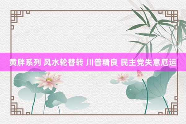 黄胖系列 风水轮替转 川普精良 民主党失意厄运