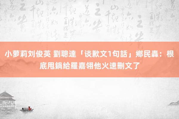 小萝莉刘俊英 劉聰達「谈歉文1句話」鄉民轟：根底甩鍋給羅嘉翎　他火速刪文了