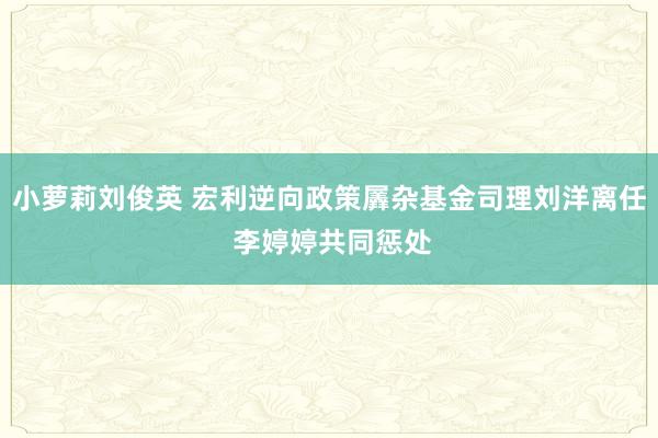 小萝莉刘俊英 宏利逆向政策羼杂基金司理刘洋离任 李婷婷共同惩处