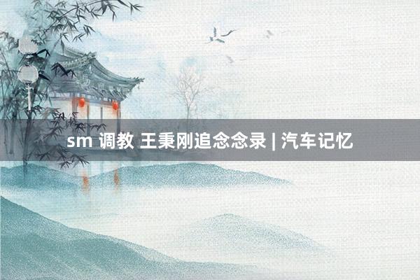 sm 调教 王秉刚追念念录 | 汽车记忆