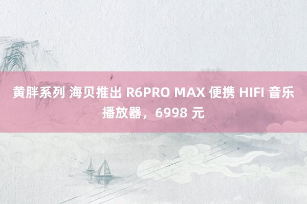 黄胖系列 海贝推出 R6PRO MAX 便携 HIFI 音乐播放器，6998 元