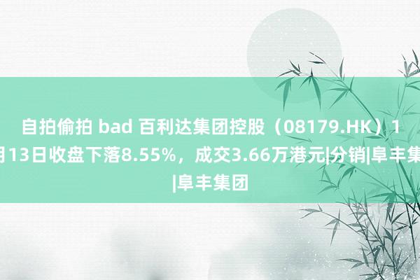 自拍偷拍 bad 百利达集团控股（08179.HK）12月13日收盘下落8.55%，成交3.66万港元|分销|阜丰集团