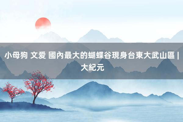 小母狗 文爱 國內最大的蝴蝶谷現身台東大武山區 | 大紀元