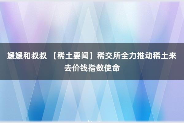 媛媛和叔叔 【稀土要闻】稀交所全力推动稀土来去价钱指数使命