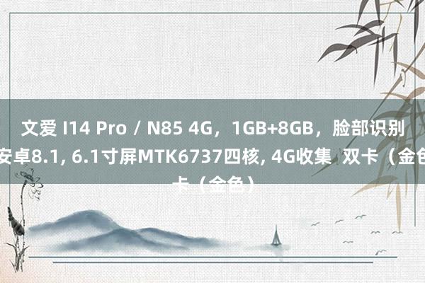 文爱 I14 Pro / N85 4G，1GB+8GB，脸部识别， 安卓8.1， 6.1寸屏MTK6737四核， 4G收集  双卡（金色）