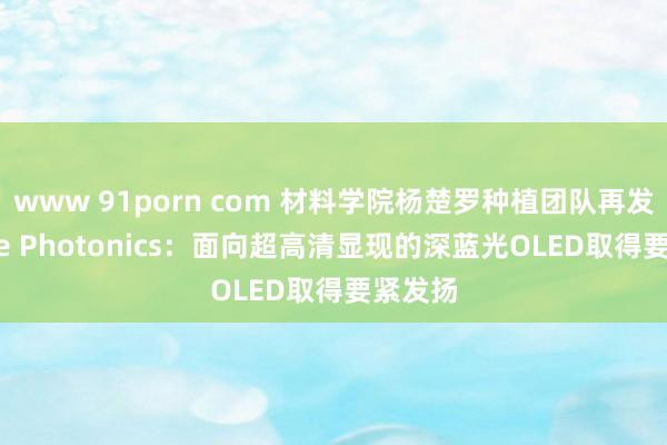 www 91porn com 材料学院杨楚罗种植团队再发Nature Photonics：面向超高清显现的深蓝光OLED取得要紧发扬