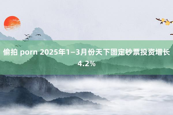 偷拍 porn 2025年1—3月份天下固定钞票投资增长4.2%
