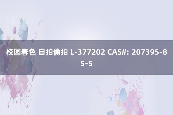 校园春色 自拍偷拍 L-377202 CAS#: 207395-85-5